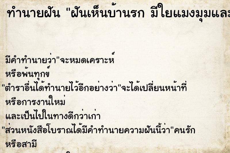 ทำนายฝันทำนายฝันฝันเห็นบ้านรกมีใยแมงมุมและแมลงเป็นกล่มก้อน